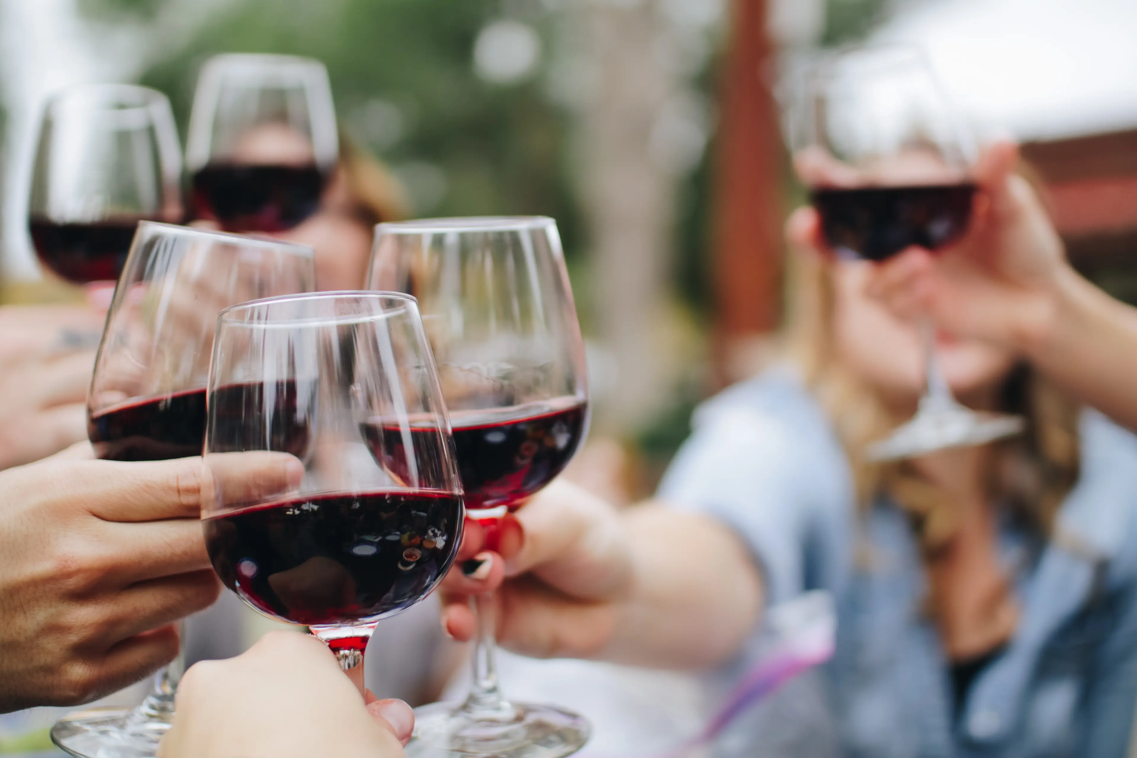 Maryland wine tours